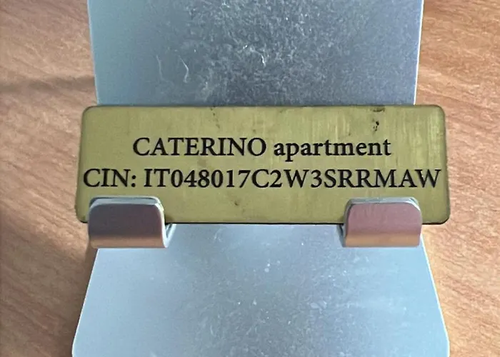 Daire Caterino *